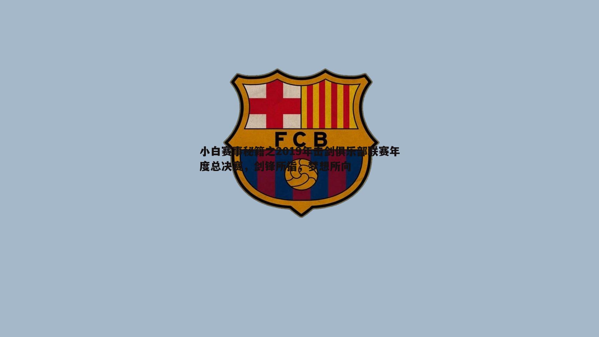 小白赛事秘籍之2019年击剑俱乐部联赛年度总决赛，剑锋所指，梦想所向